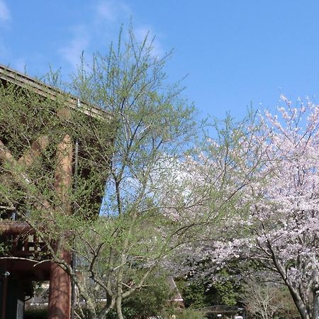 Lassy Condominium 구마모토 외부 사진