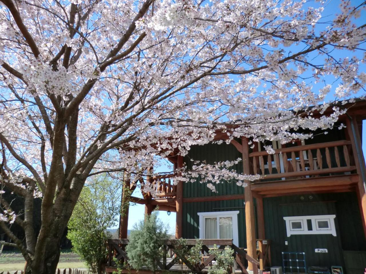 Lassy Condominium 구마모토 외부 사진